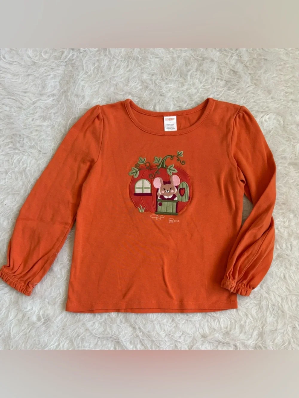 Gymboree Girls Festive Orange Girls' Pumpkin Mouse Applique Top